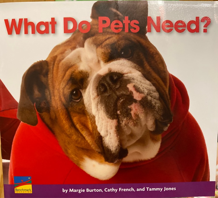 What do pets need?