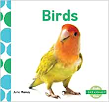 Birds (I Like Animals!)