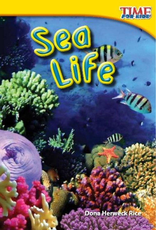 Sea Life