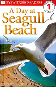 DK Readers: Day at Seagull Beach (Leve