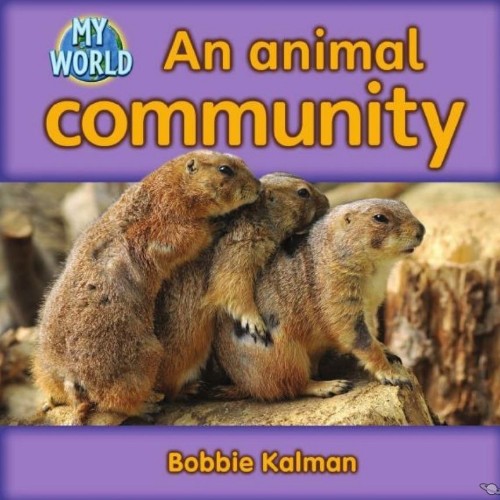 An animal community
