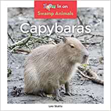 Capybaras (Swamp Animals)