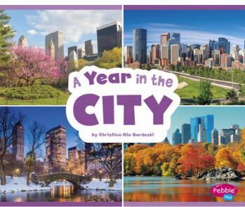 A Year in the City