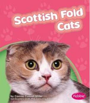 Scottish Fold Cats