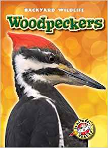 Woodpeckers (Blastoff! Readers: Backya