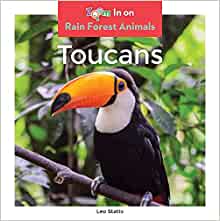 Toucans (Rain Forest Animals)