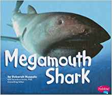 Megamouth Shark (Sharks)