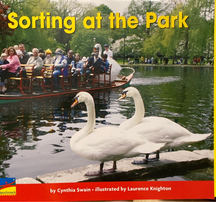Sorting at the park