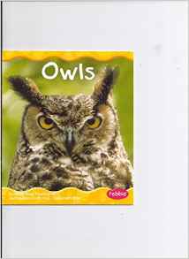 Owls (Woodland Animals)