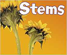 Stems (Pebble Plus: Parts of Plants)