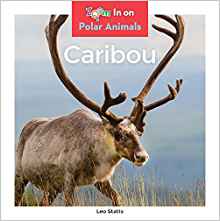 Caribou (Zoom in on Polar Animals)