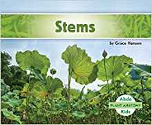 Stems (Plant Anatomy)