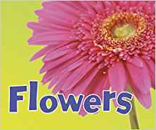Flowers (Pebble Plus: Parts of Plants)