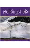 Walkingsticks (Insects)