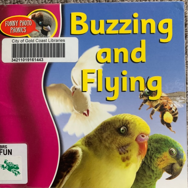 Buzzing and Flying