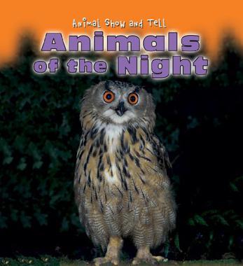 Animals of the Night