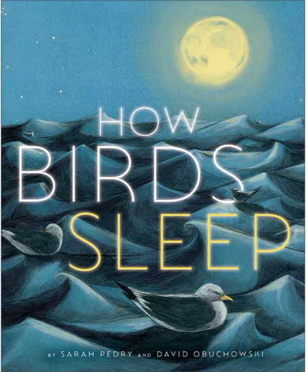 How Birds Sleep