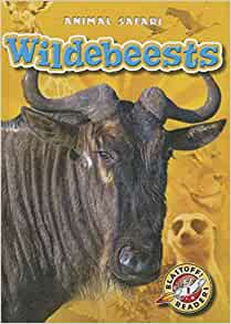 Wildebeests (Animal Safari)