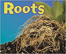 Roots (Pebble Plus: Parts of Plants)