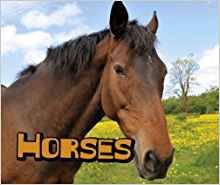 Horses (Pebble Plus: Farm Animals)