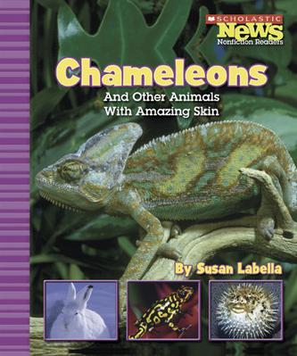 Chameleons and Other Animals with Amaz