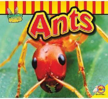 Ants 9781621273264