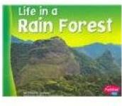 Life in a Rain Forest