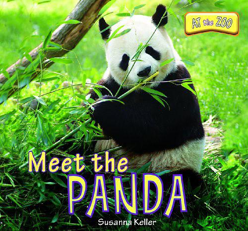 Meet the Panda