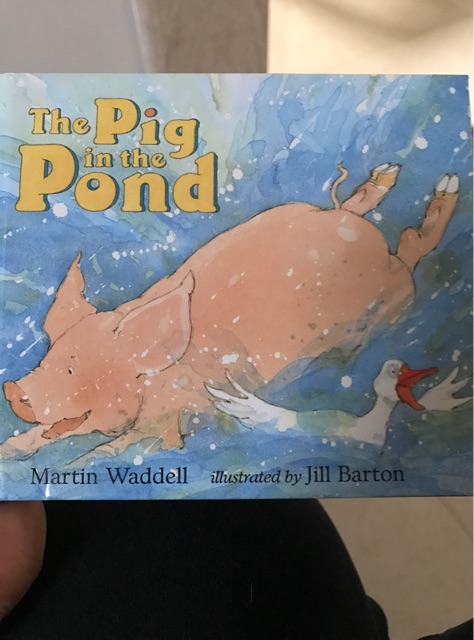 The Pig in the Pond (Little Favourites