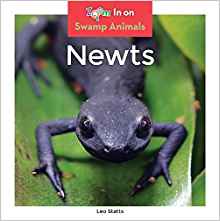 Newts (Swamp Animals)