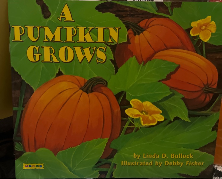 A Pumpkin Grows