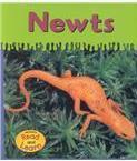 Newts