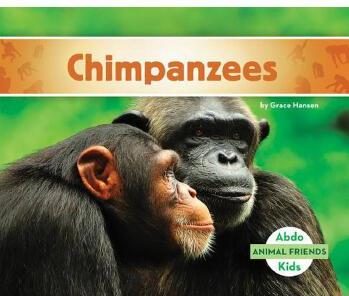 Chimpanzees