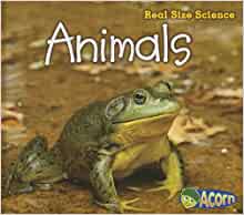 Animals: Real Size Science