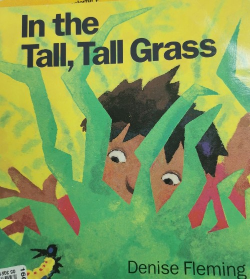 In the Tall Tall Grass by Denise Flemi