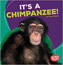 It's a Chimpanzee! (Bumba Books - Rain