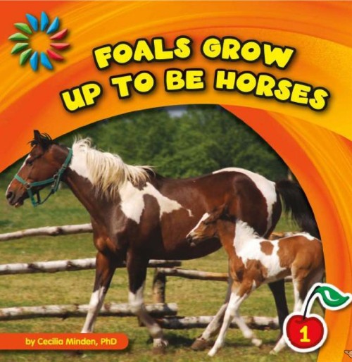 Foals Grow up to Be Horses