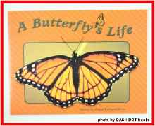 Steck-Vaughn Pair-It Books Transition 