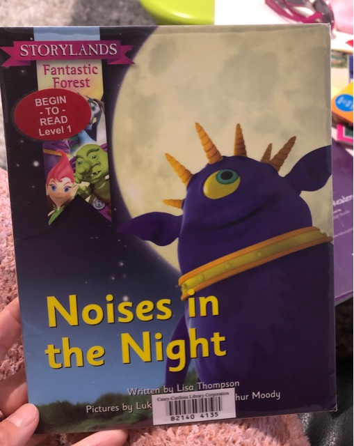 Noises in the night