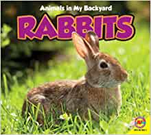 Rabbits (Animals in My Backyard)