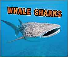 Whale Sharks (Pebble Plus: All About S