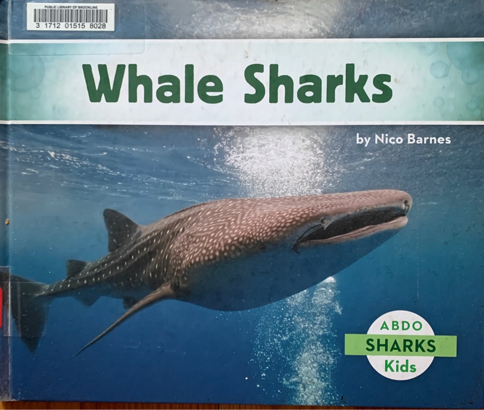 Whale Sharks
