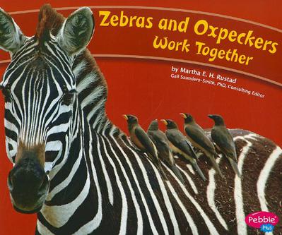Zebras and Oxpeckers Work Together