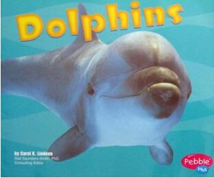 Dolphins [Scholastic] (Under the Sea)
