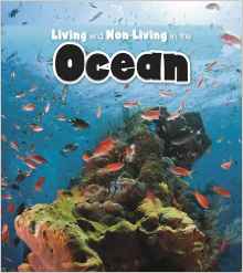 Living and Non-living in the Ocean (Re