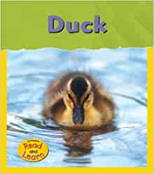 Duck (Life Cycles)