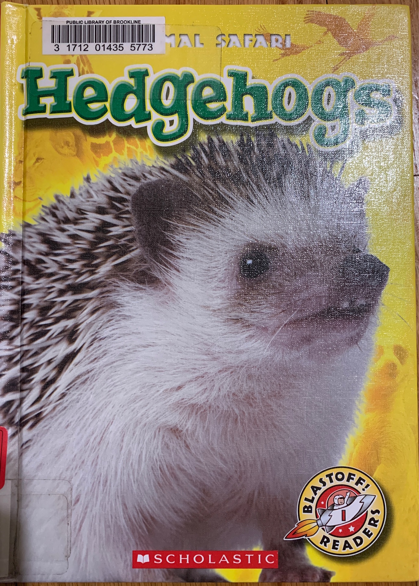 Hedgehogs