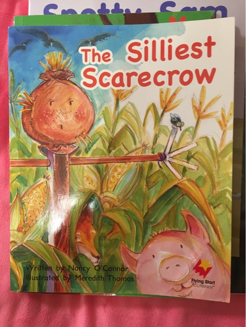 The silliest scarecrow