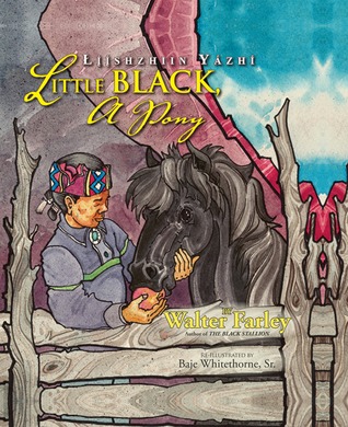 Little Black, a Pony: Liishzhiin Yazhi