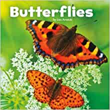 Butterflies (Little Pebble: Little Cre